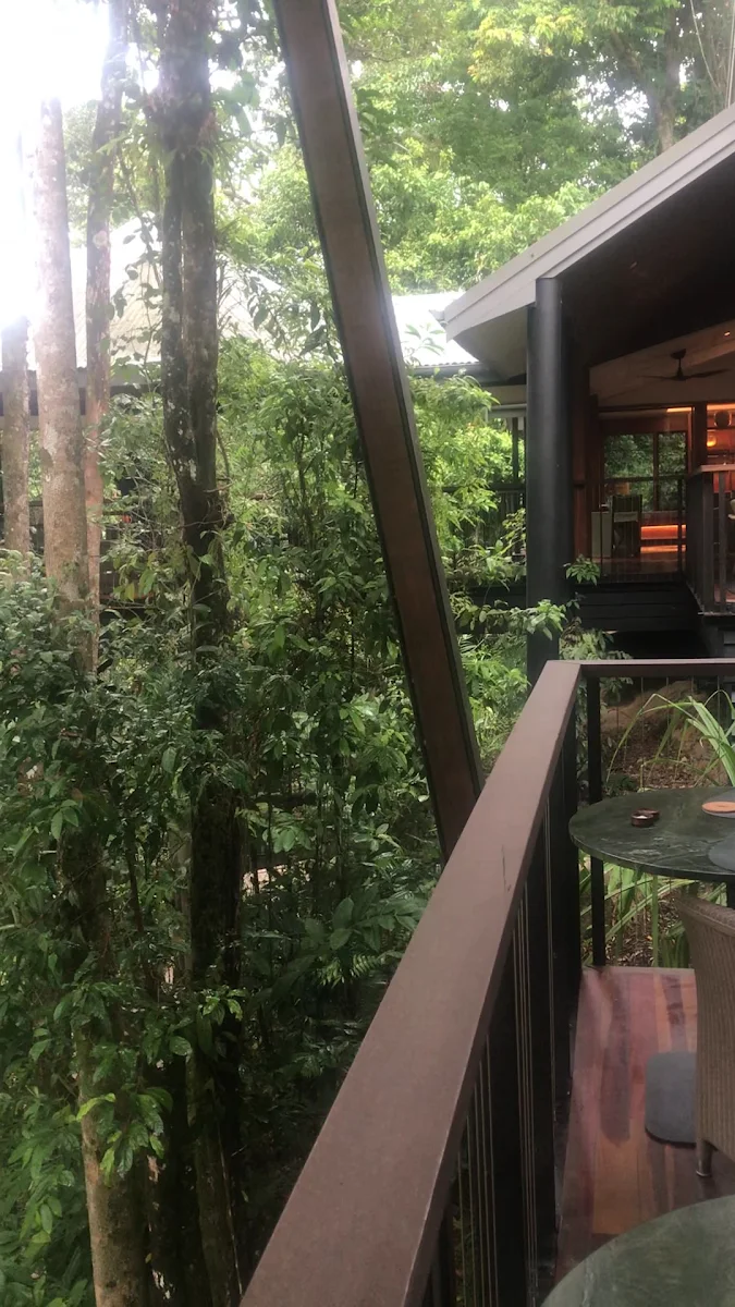 Vibe, Treehouse Restaurant