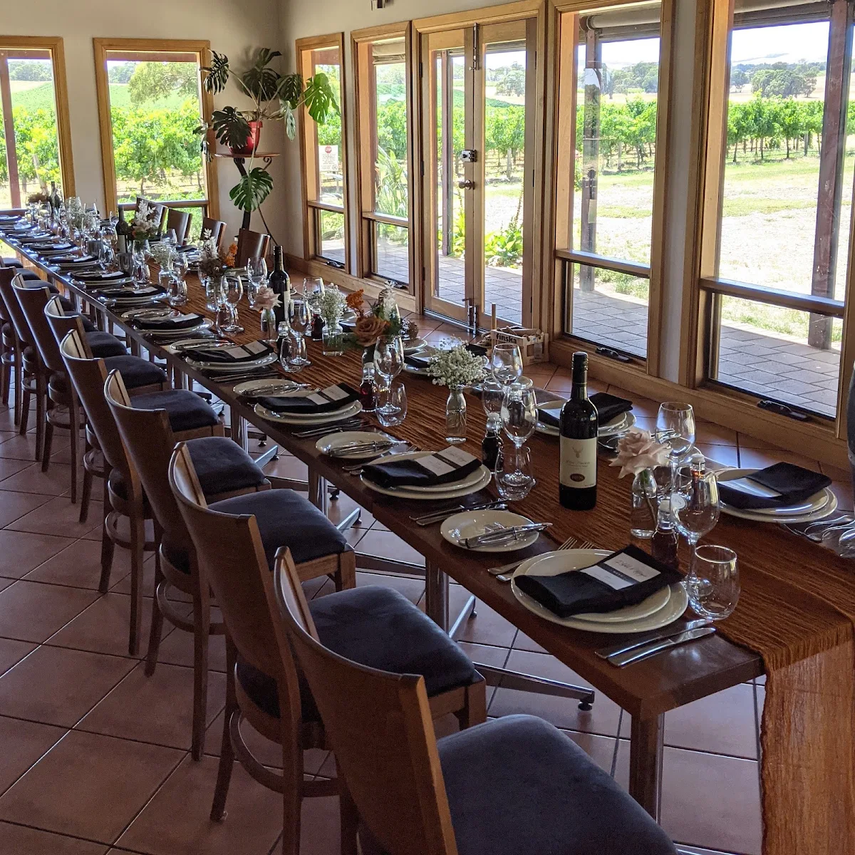 Vibe, Monkey Nut Café - Barossa Valley