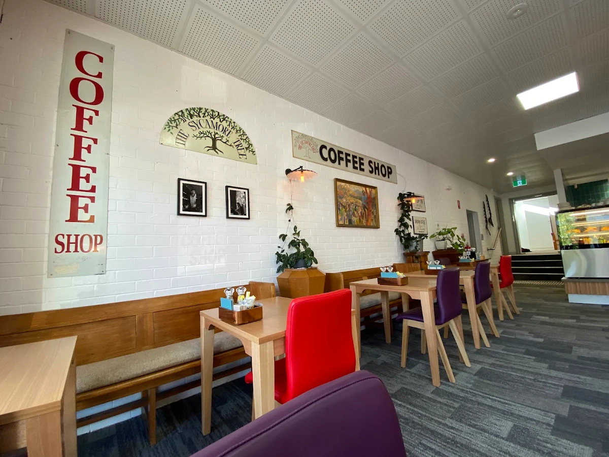 Vibe, Sycamore Tree Cafe