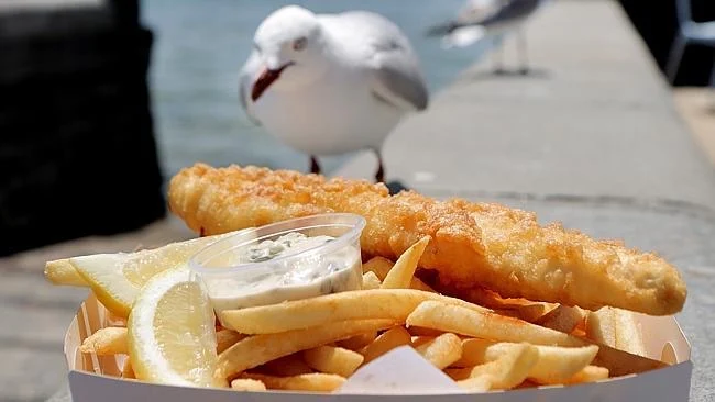 Food & drink, Bluewave Seafood - Take away food near Bermagui, fish and chips Restaurants