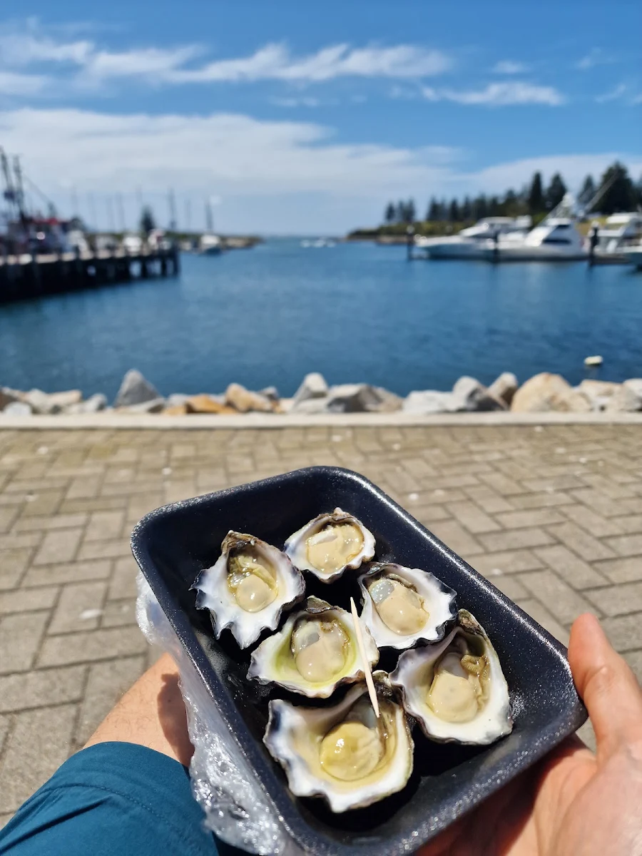 Food & drink, Bluewave Seafood - Take away food near Bermagui, fish and chips Restaurants