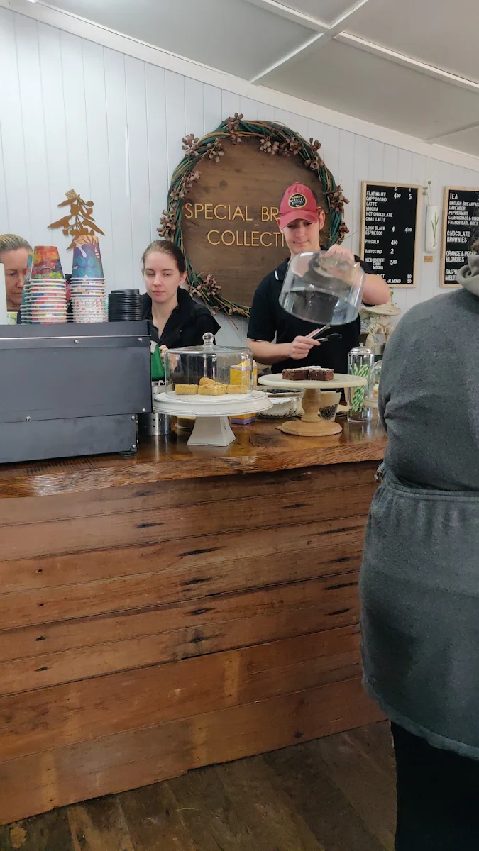 Vibe, Special Branch Collective