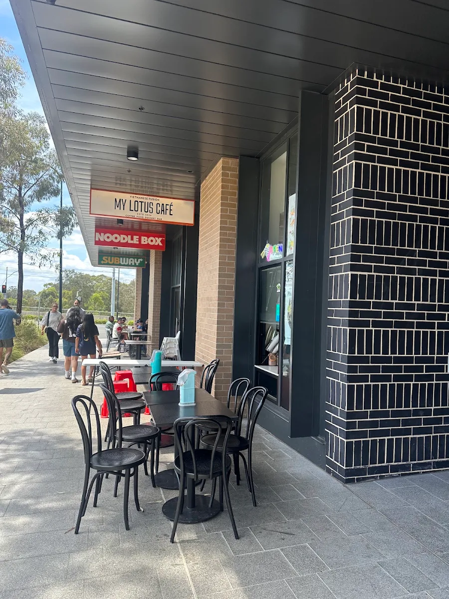 Vibe, My Lotus Cafe