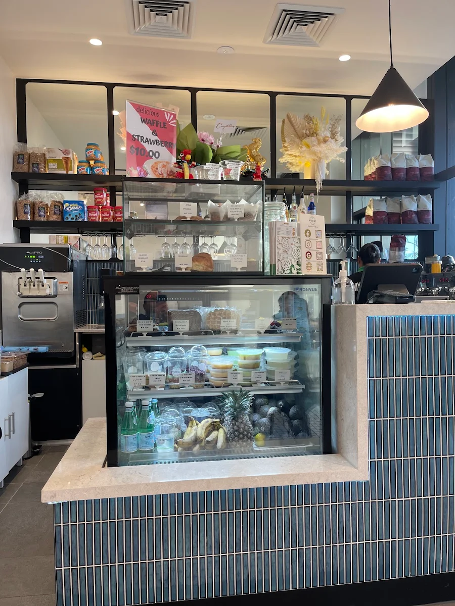 Vibe, My Lotus Cafe