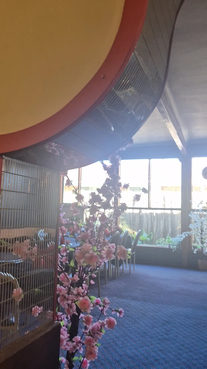 Vibe, Emperor's Garden Chinese Restaurant