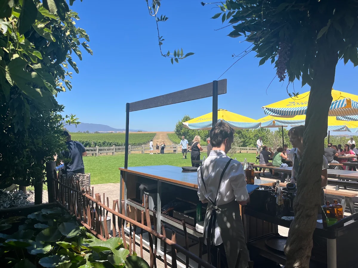 Vibe, Zonzo Estate Yarra Valley