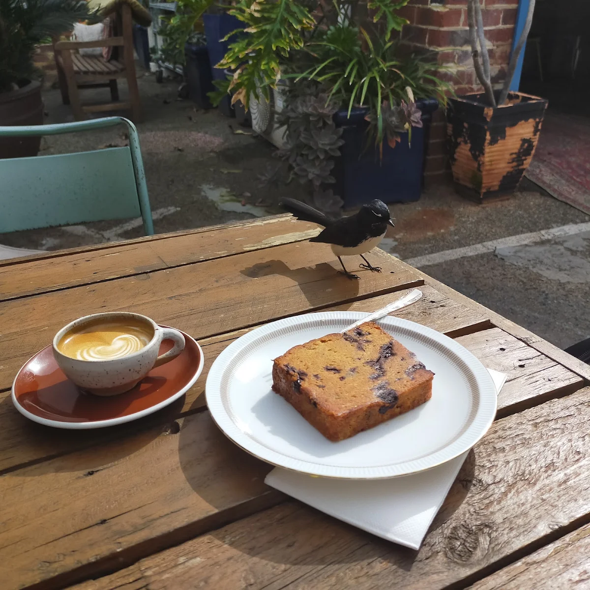 Food & drink, Babylon Cafe