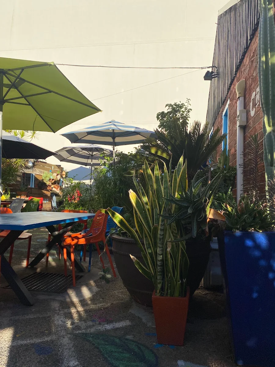 Vibe, Babylon Cafe