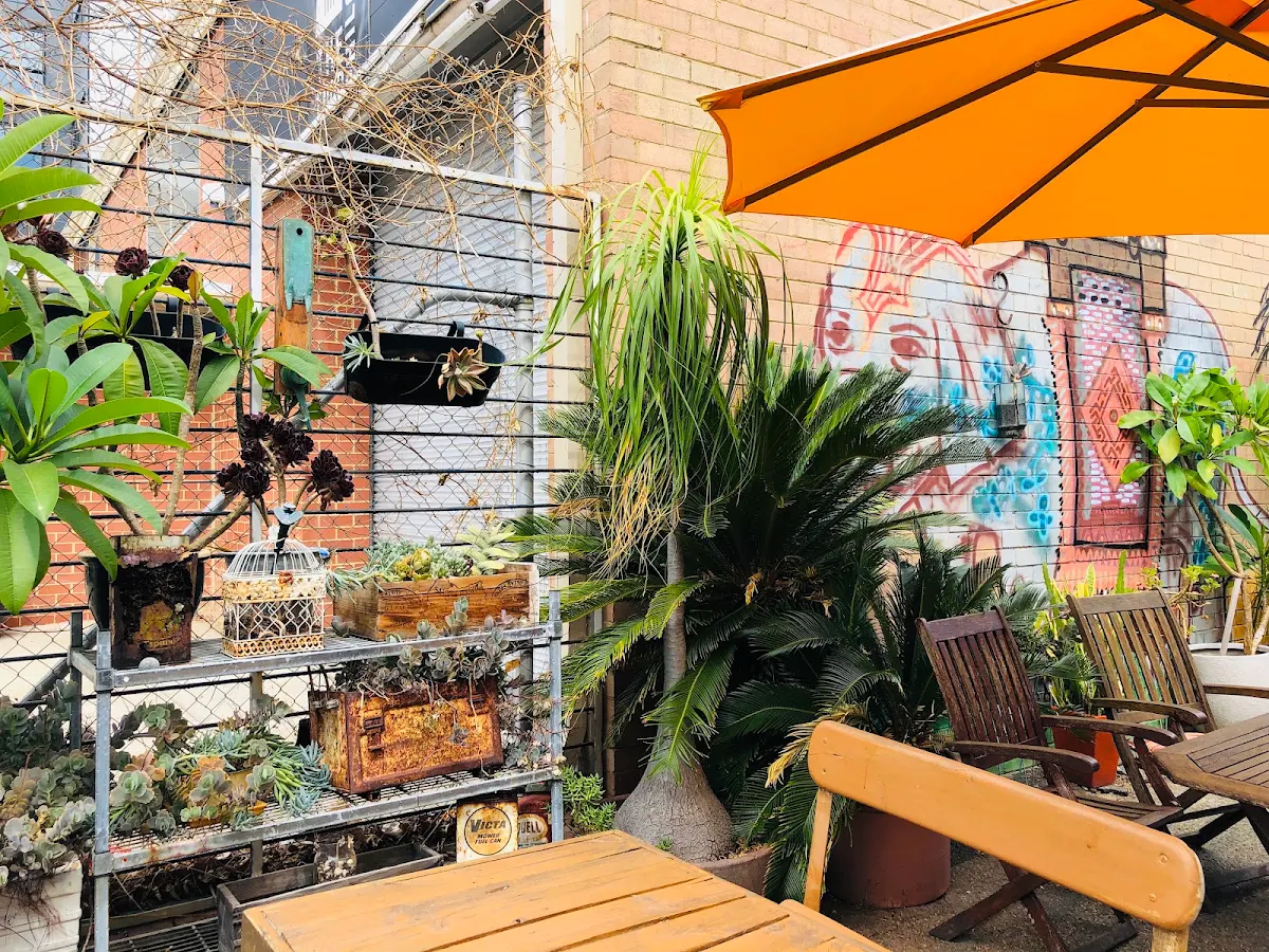 Vibe, Babylon Cafe