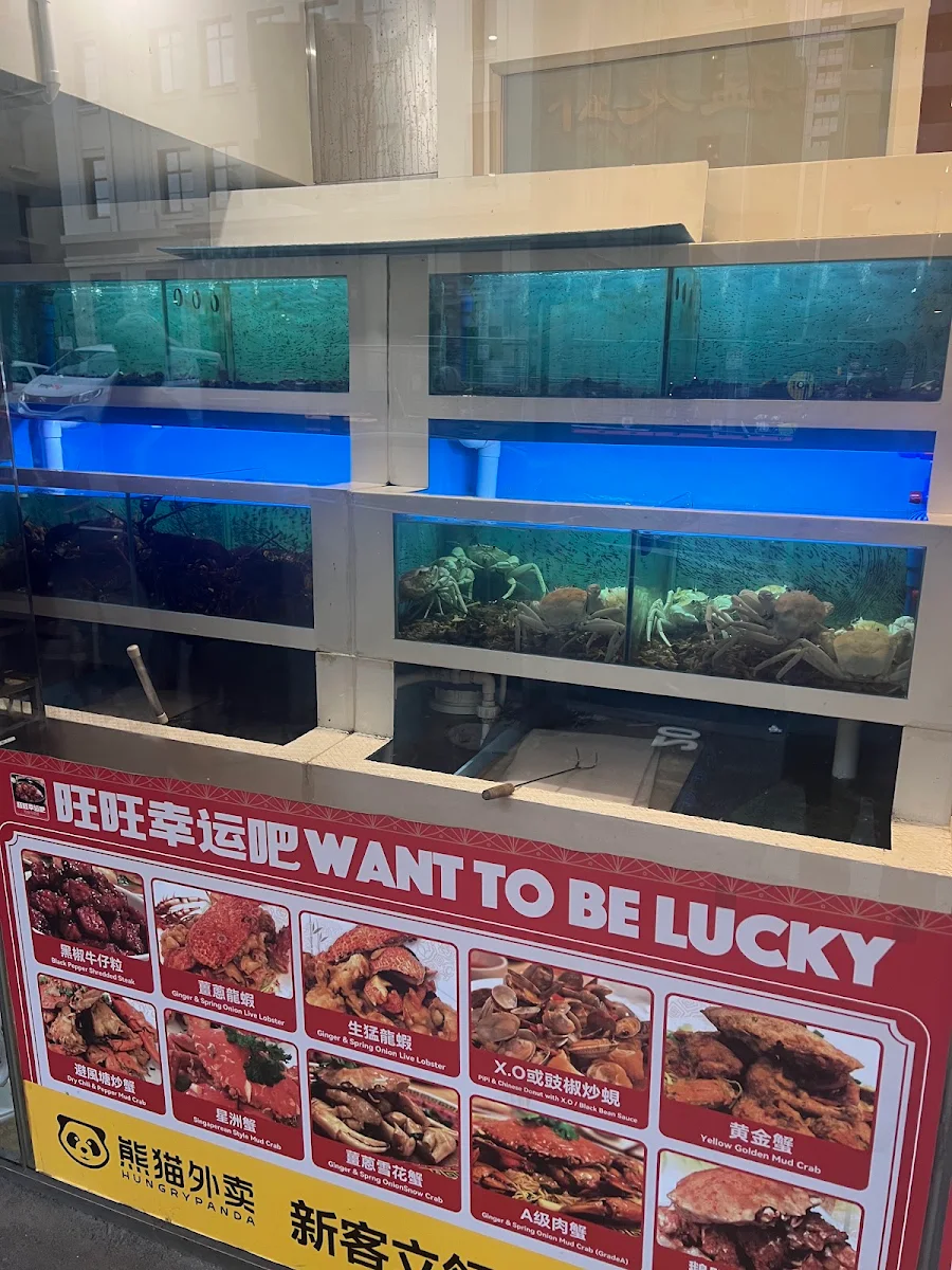 Vibe, Wong's Lucky Bar
