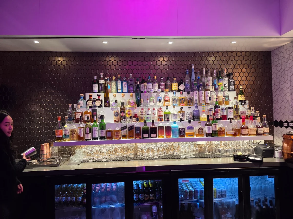 Vibe, The Stolen Gem Rooftop Bar