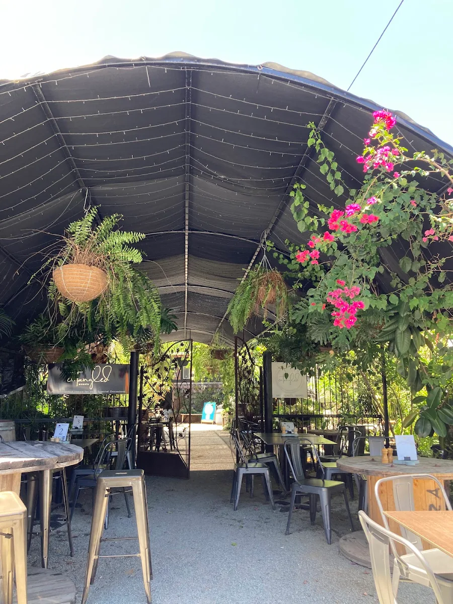 Vibe, Silverwood Cafe