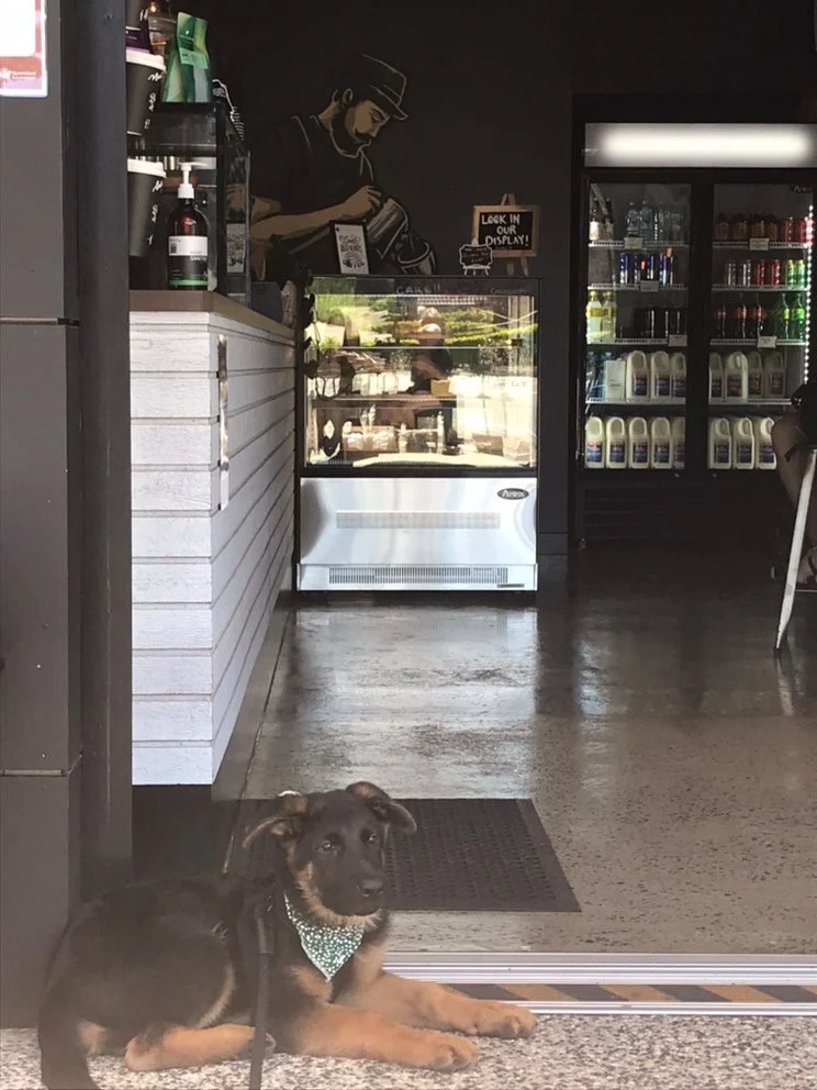 Vibe, Park Lane Barista