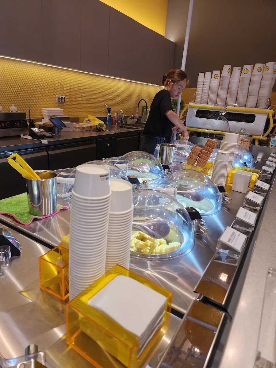 Vibe, Big Comma Gelato & Coffee