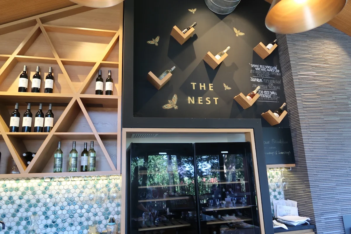 Vibe, The Nest