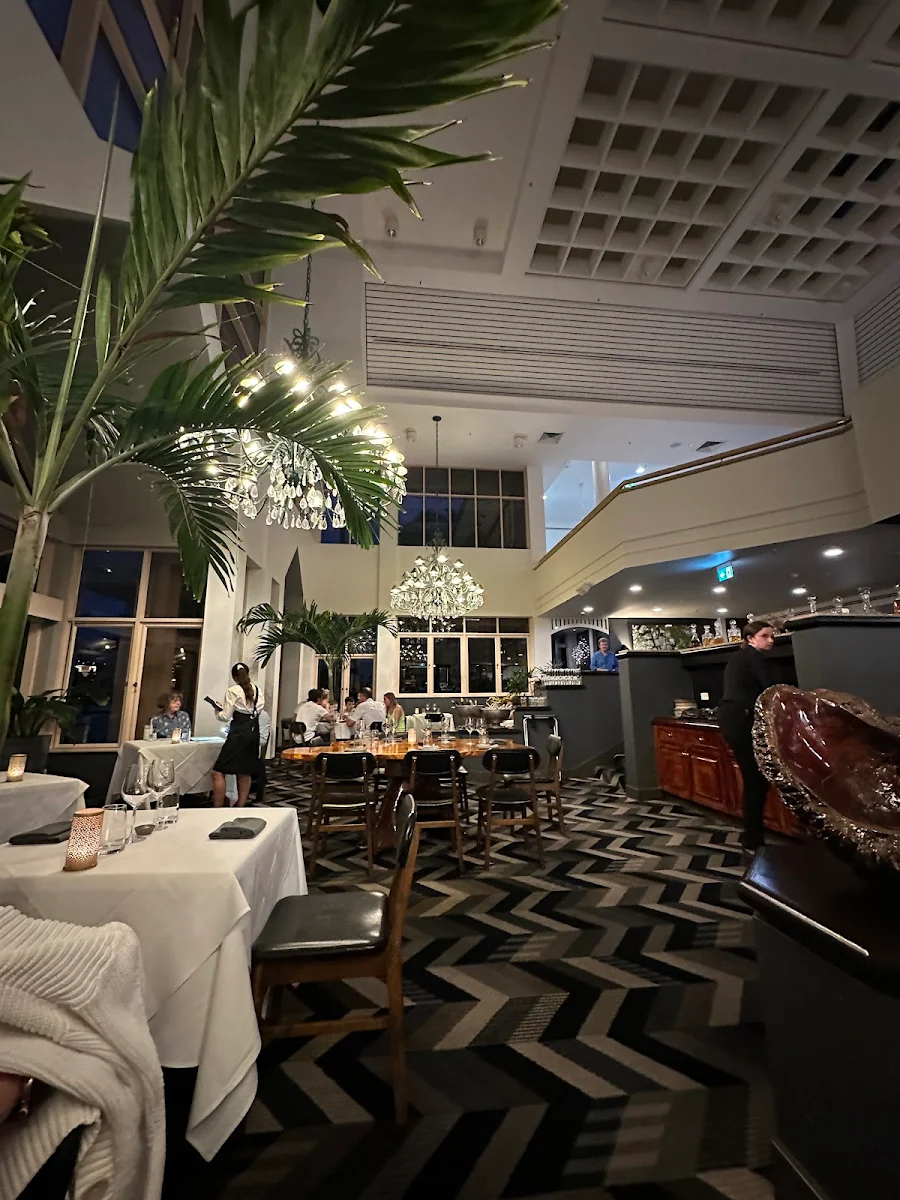 Vibe, Harrisons by Spencer Patrick