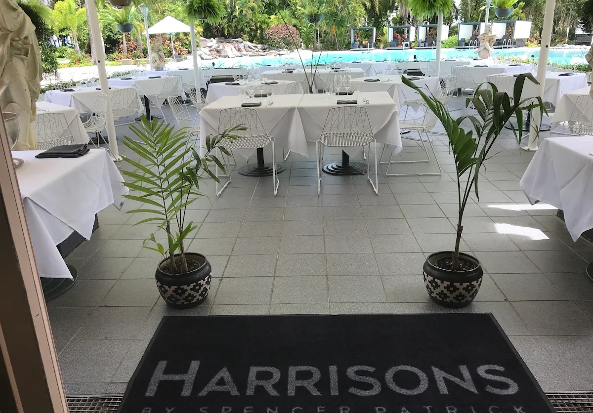 Vibe, Harrisons by Spencer Patrick