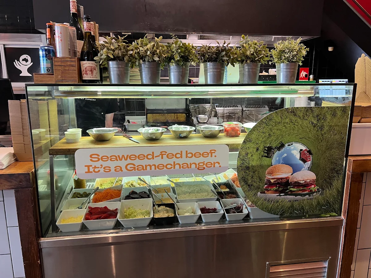 Vibe, Grill'd Burgers - Elsternwick