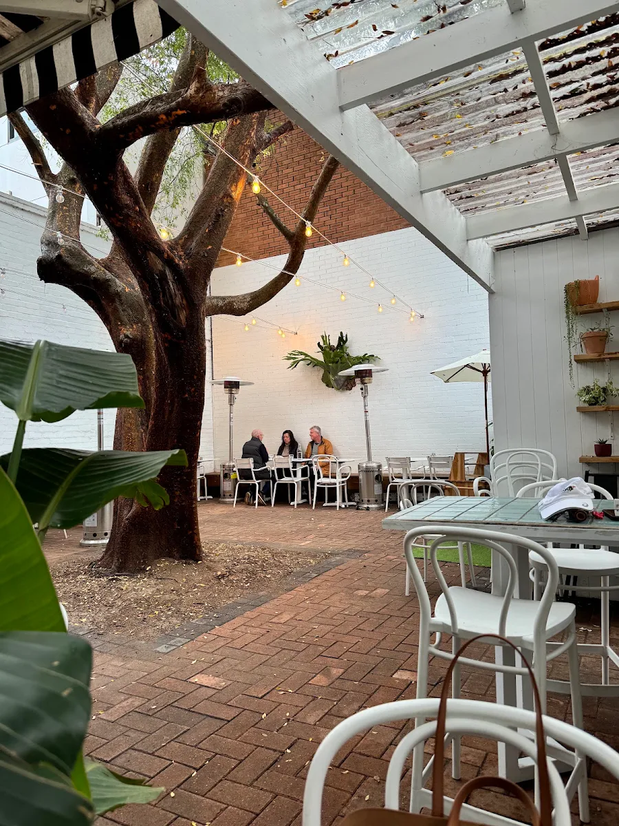 Vibe, Dirty Red Rozelle