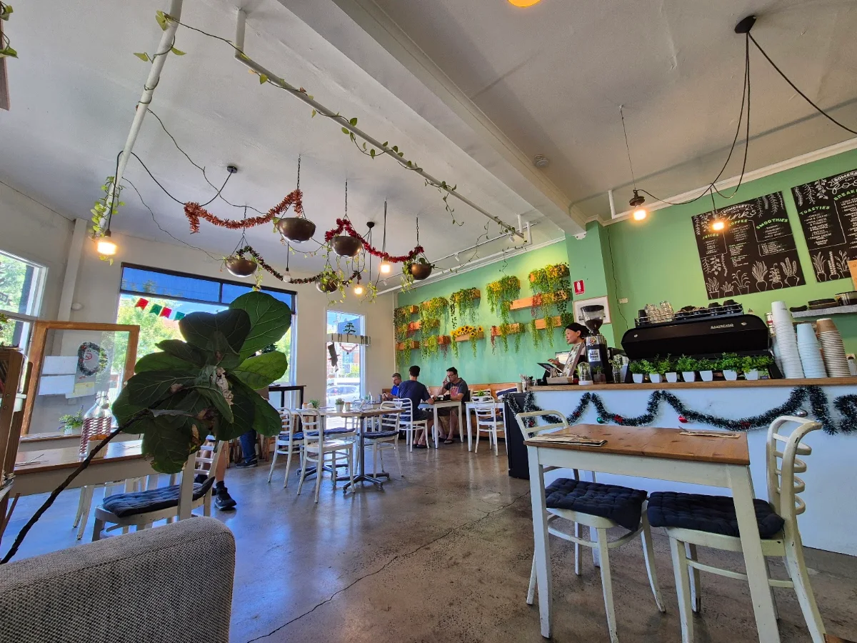 Vibe, Somerset Cafe