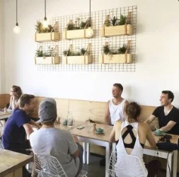Vibe, Somerset Cafe