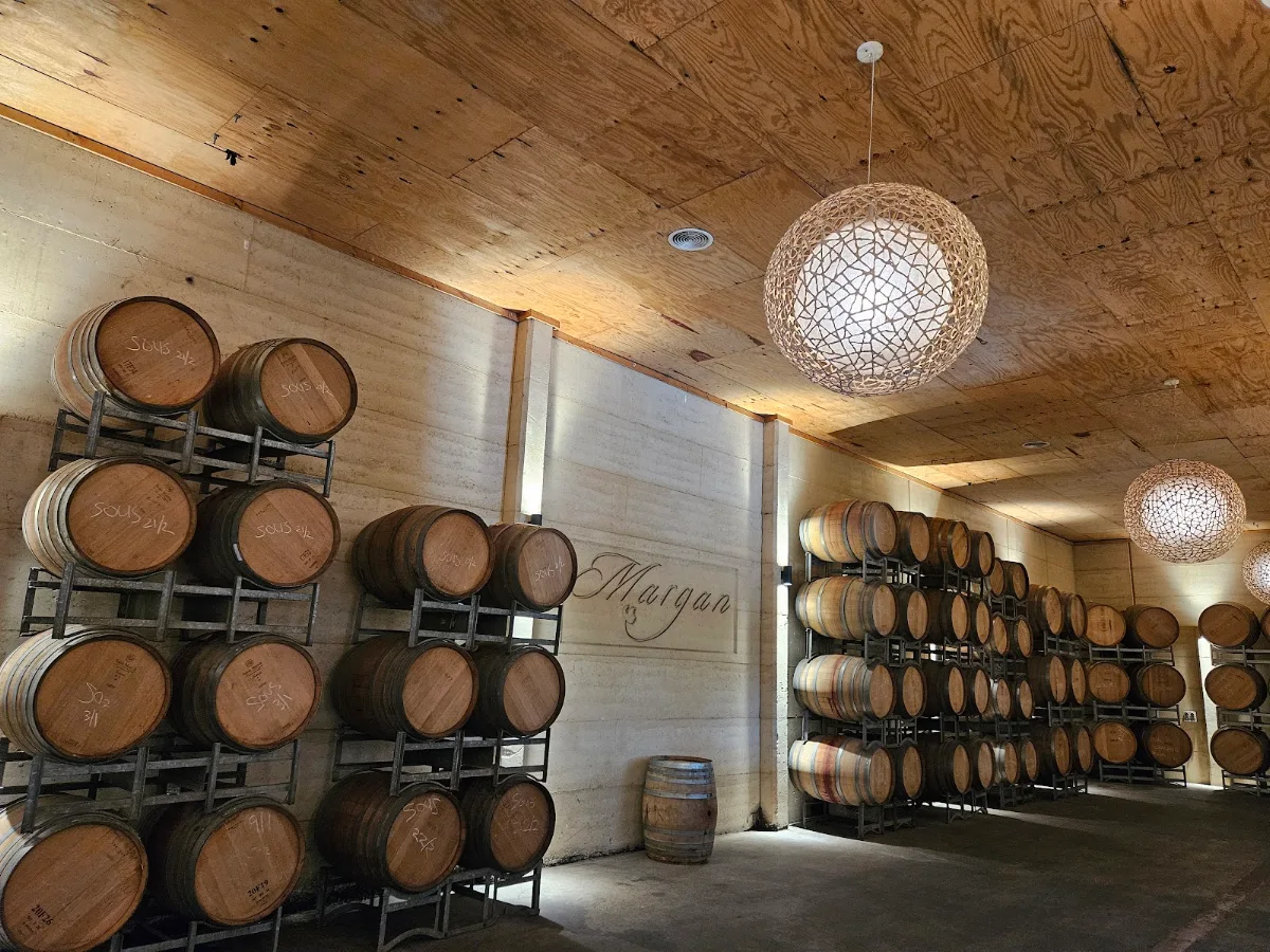 Vibe, Margan Wines and Restaurant