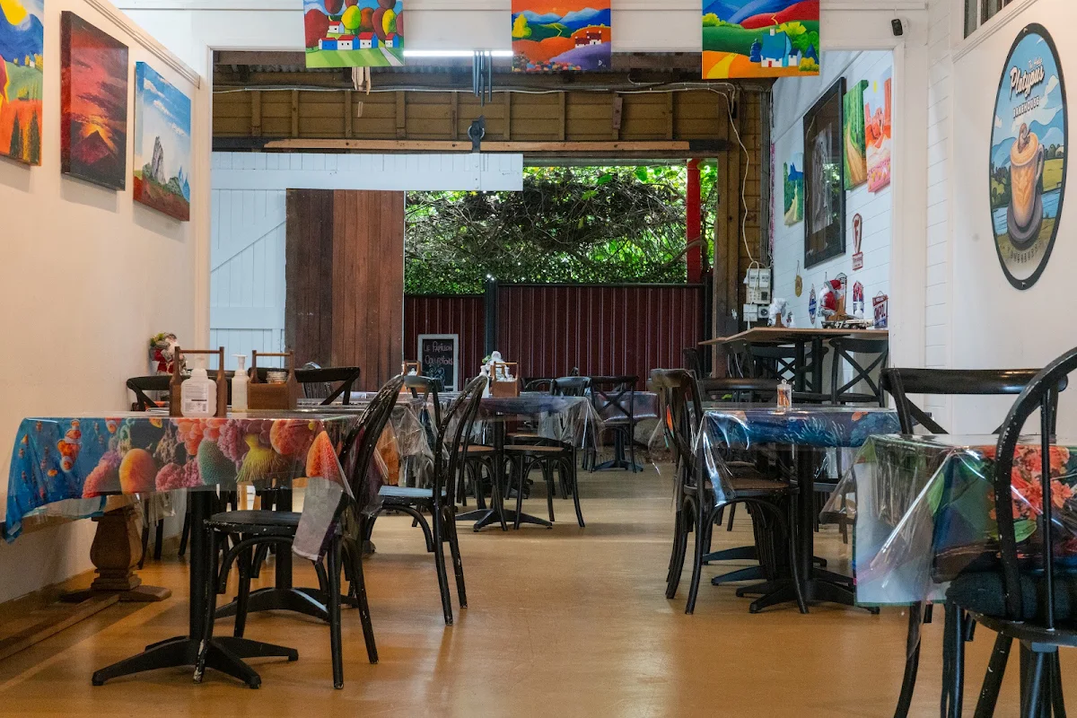 Vibe, Platypus Bakehouse