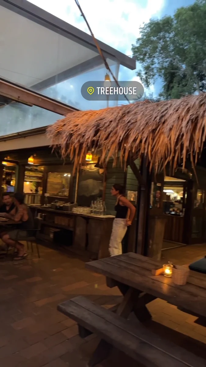 Vibe, The Treehouse Cafe