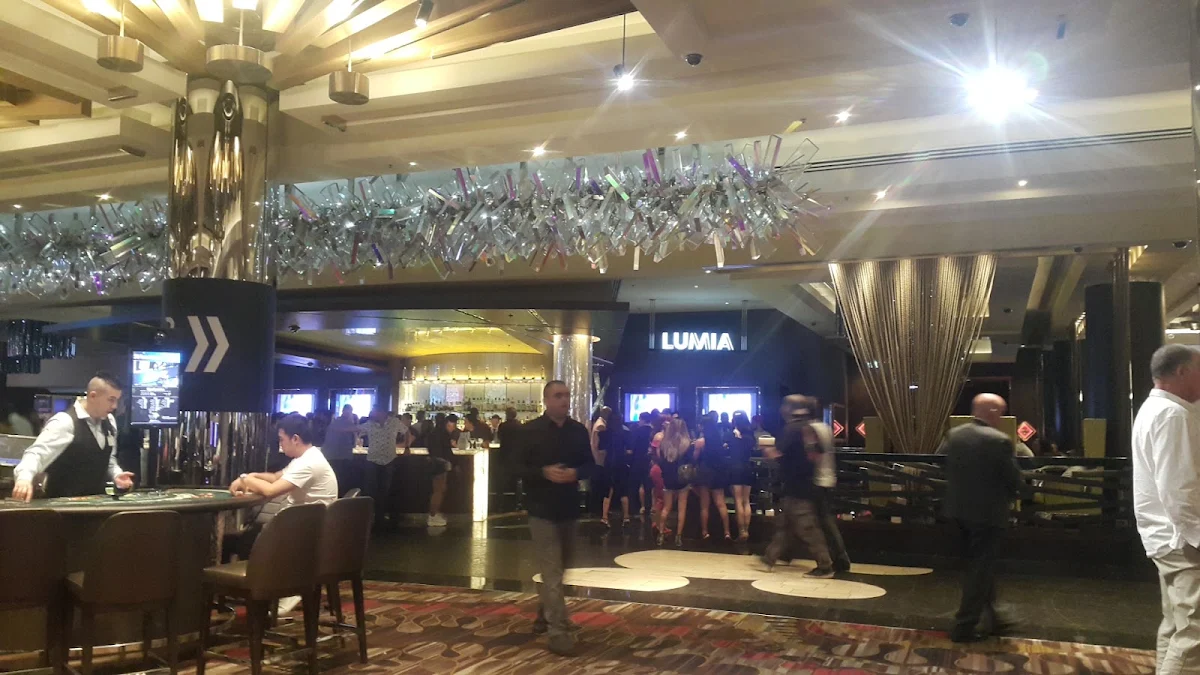 Vibe, Lumia Bar