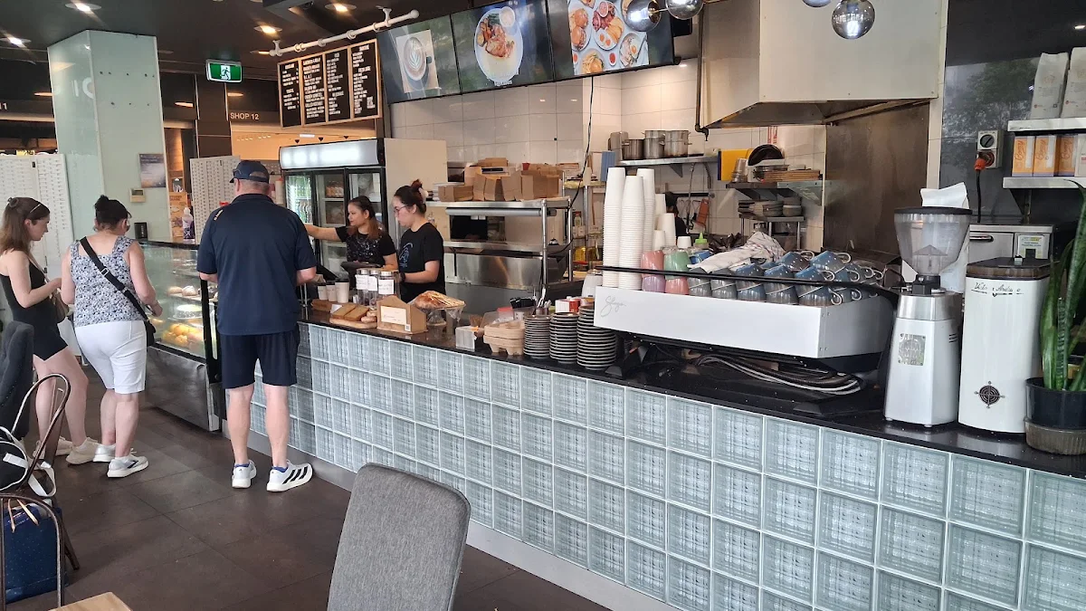 Vibe, Wellington On Danks