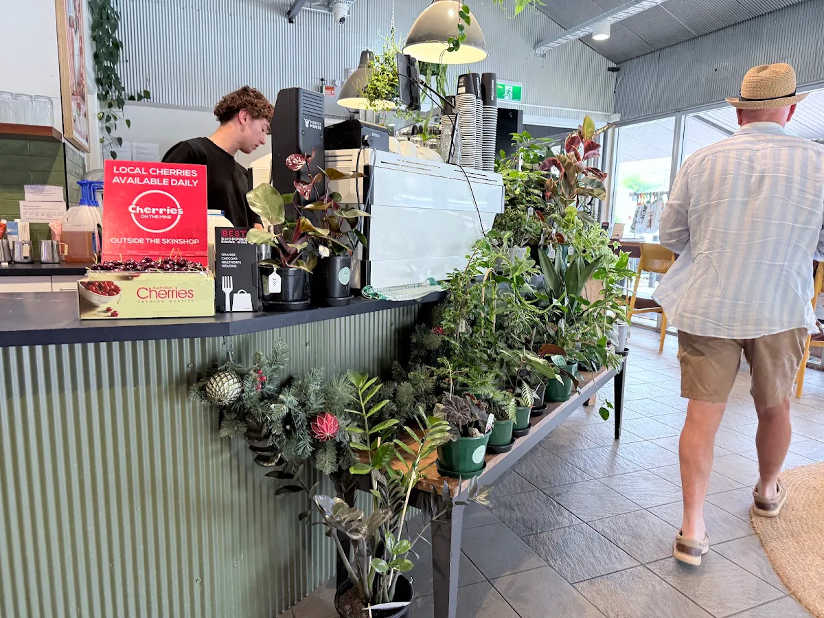 Vibe, Larder & Home