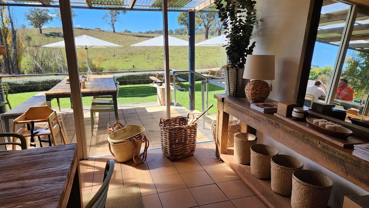Vibe, Larder & Home
