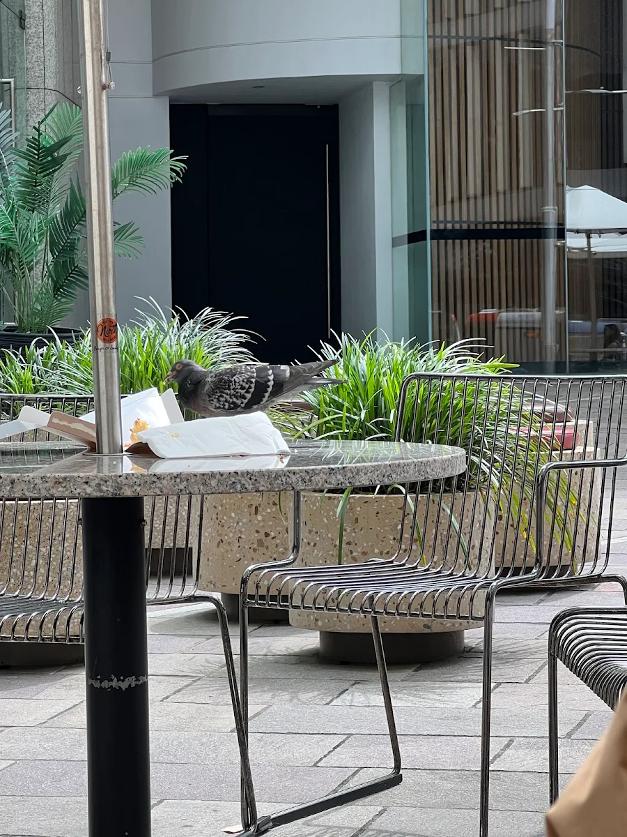Vibe, Georgie Boy's Coffee Co - Grosvenor Place