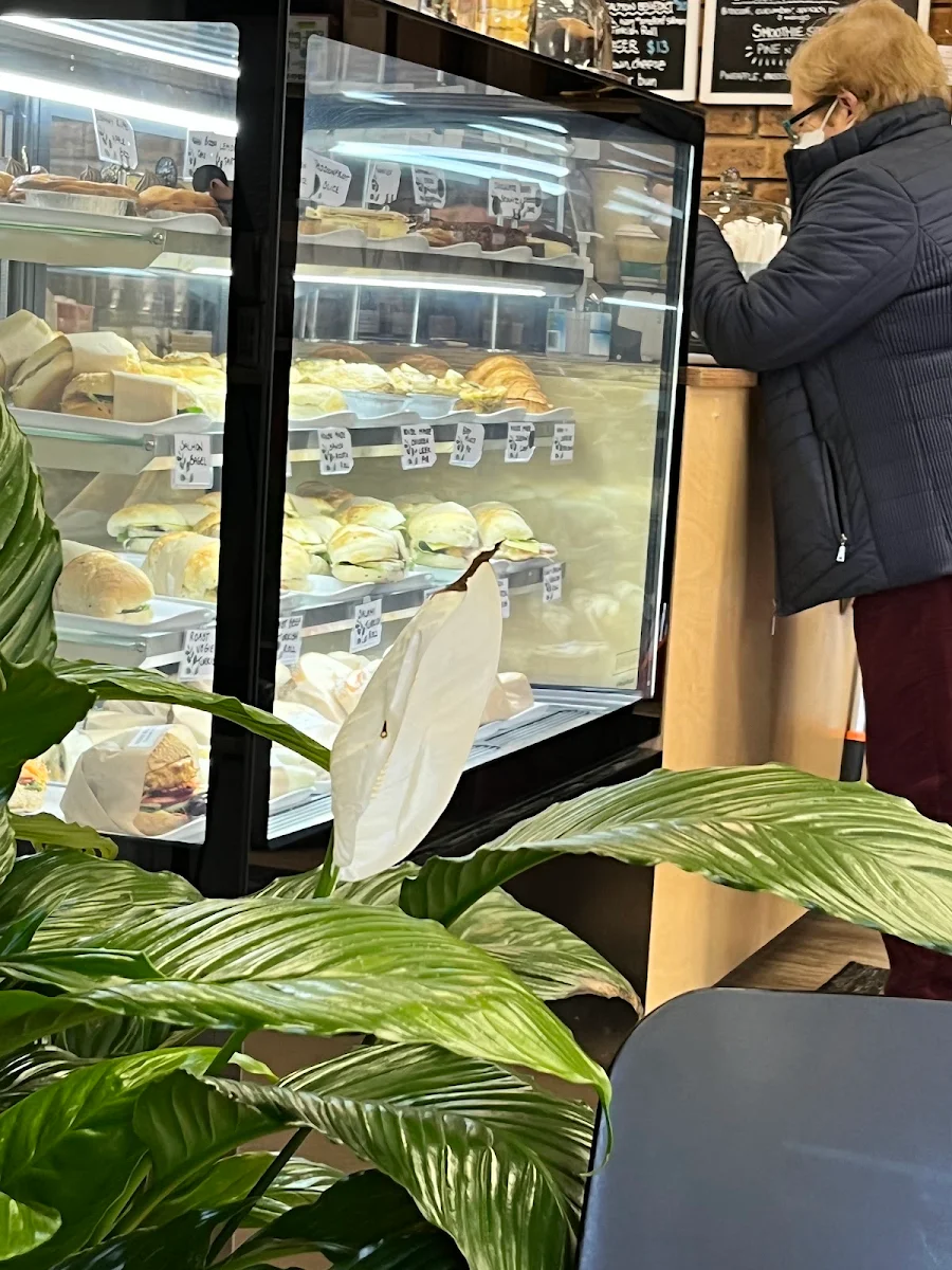 Vibe, Waterfall Gully Cafe and Nursery