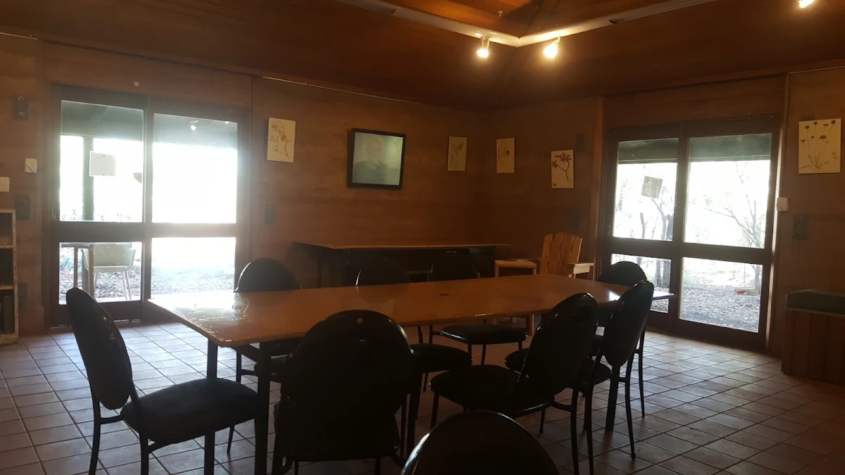 Vibe, The Bean Tree Cafe ASP