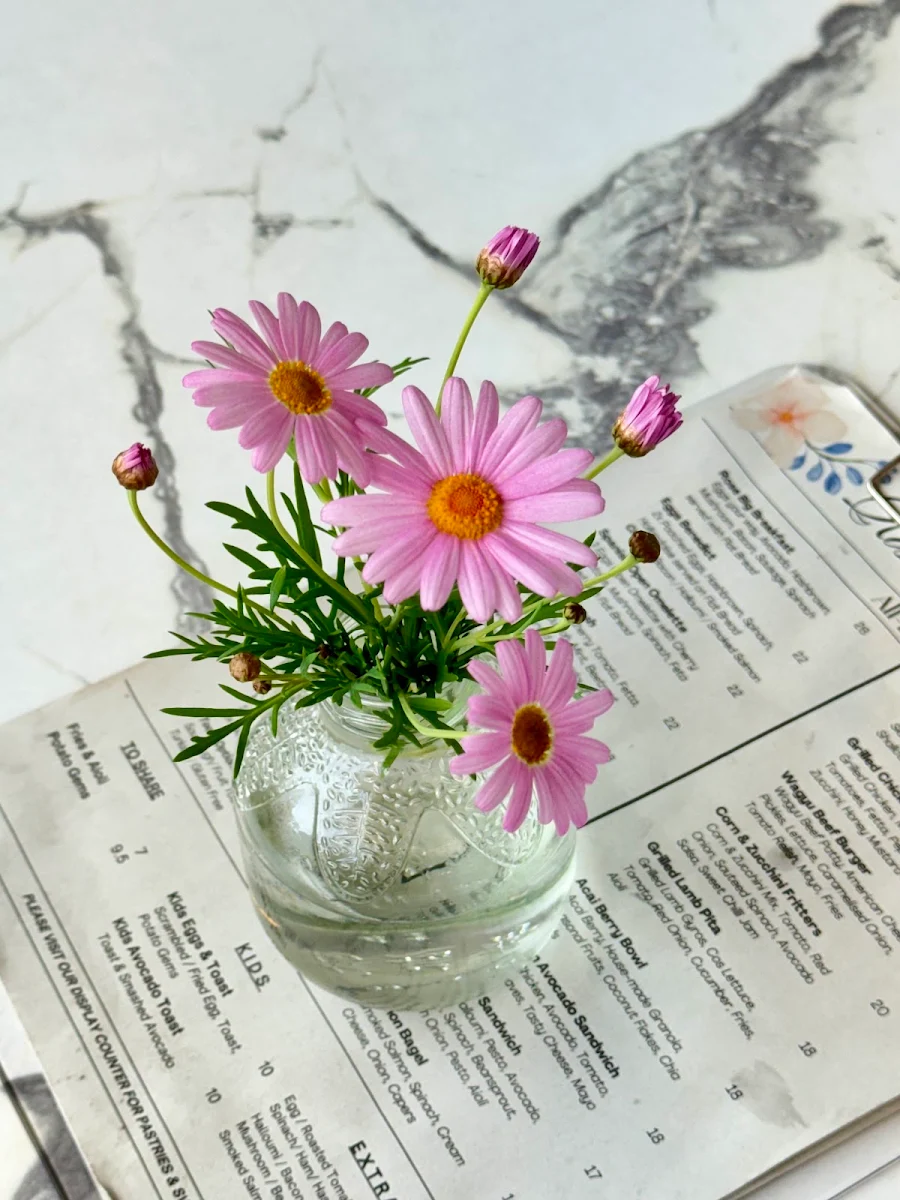 Menu, Rose Bay Cafe