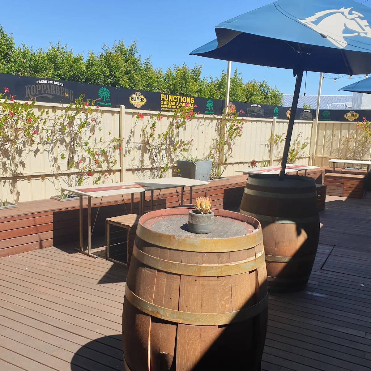 Vibe, The Bushman Hotel