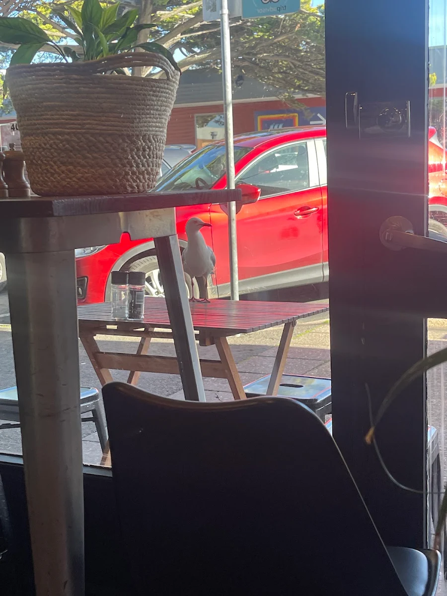 Vibe, Cafe Lugano