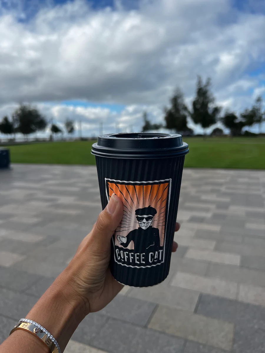 Food & drink, Coffee Cat
