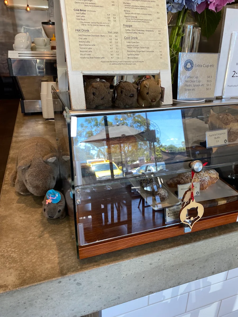 Menu, The Sitting Wombat Cafe.