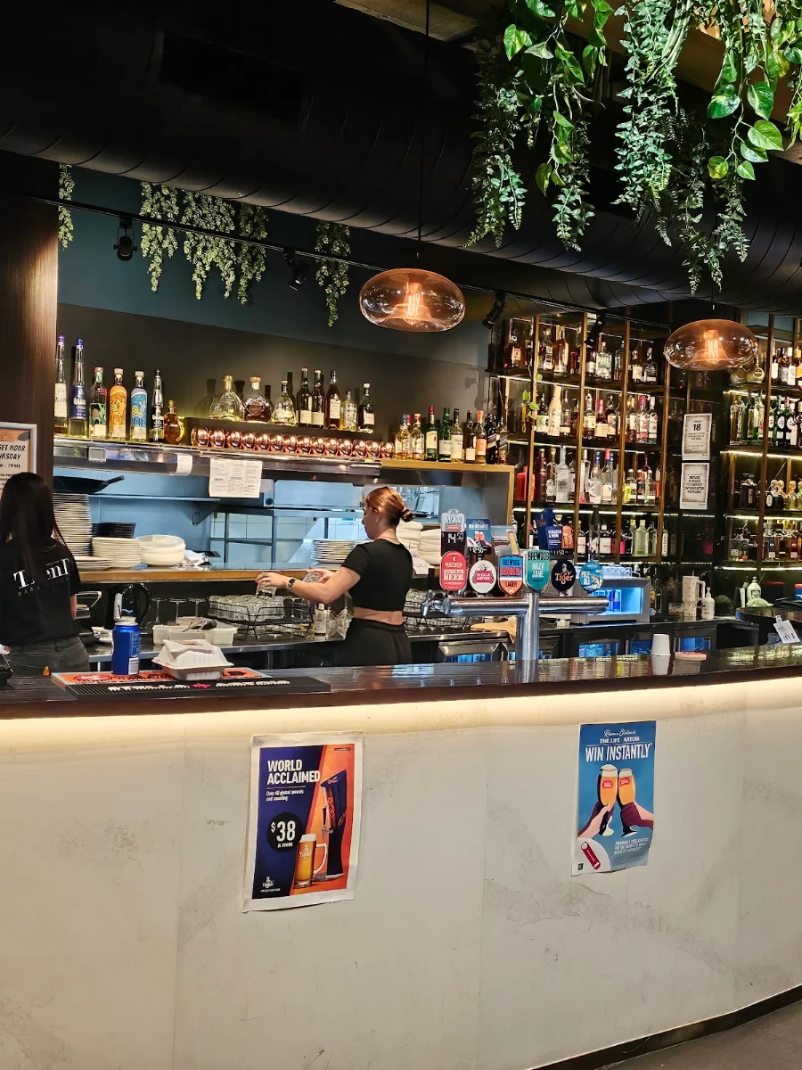 Vibe, TRenD Bar & Kitchen