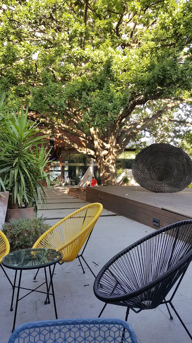 Vibe, Bicicletta Restaurant