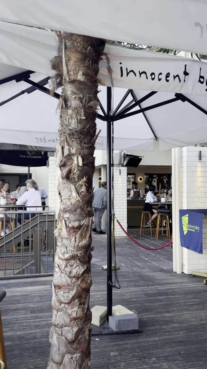 Vibe, Babylon Brisbane