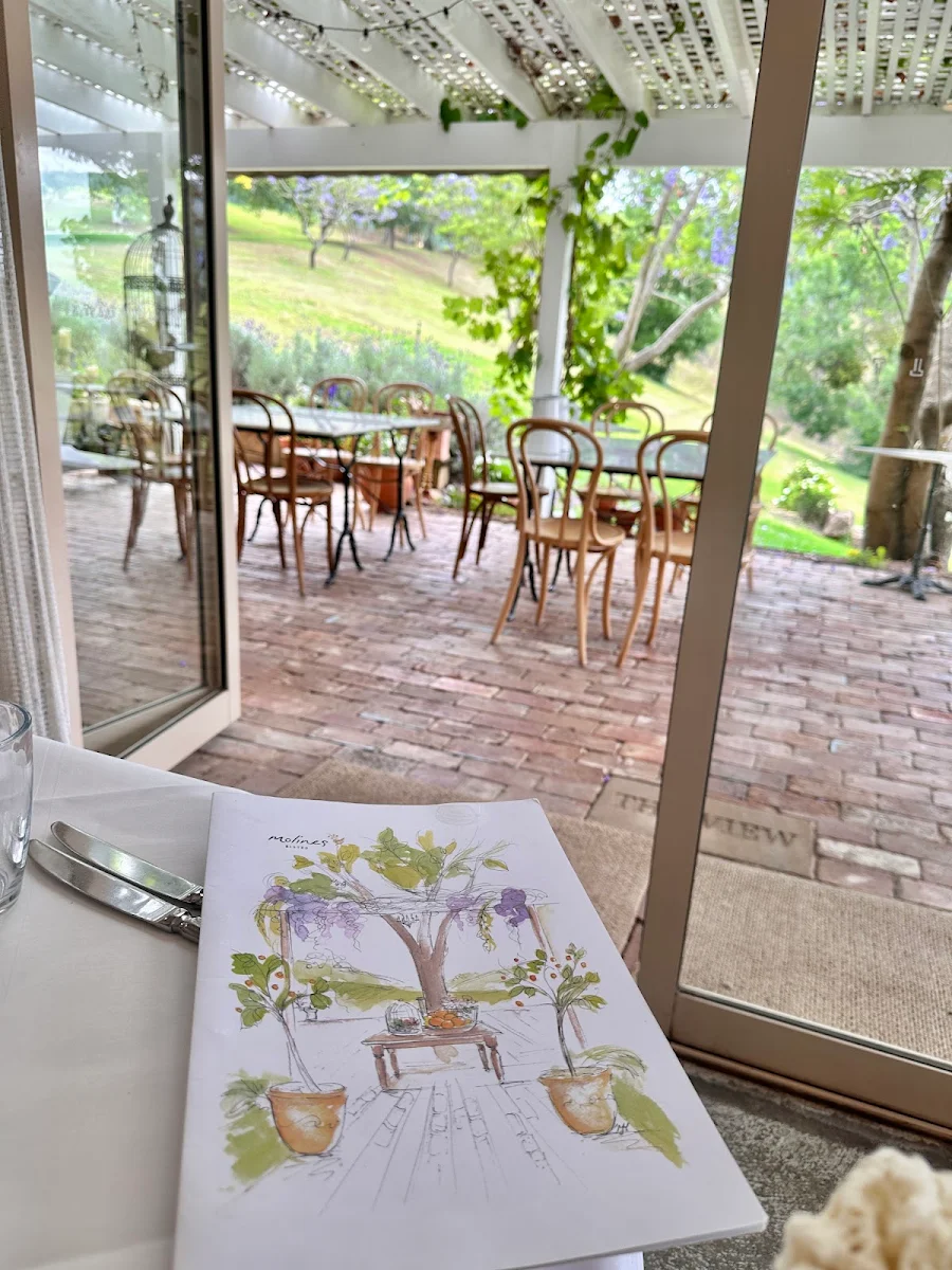 Vibe, Bistro Molines