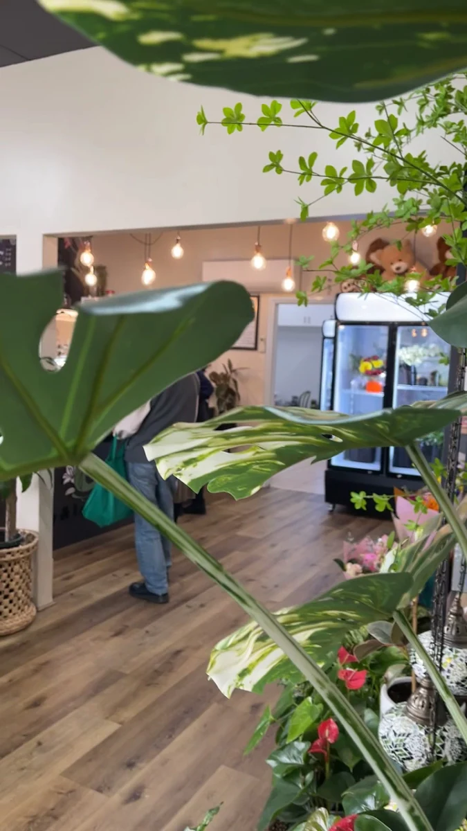 Vibe, Lily & Latte Cafe and Florist