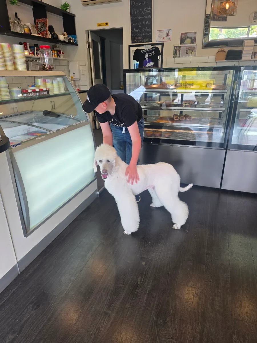 Vibe, Flinders Vanilla Slice