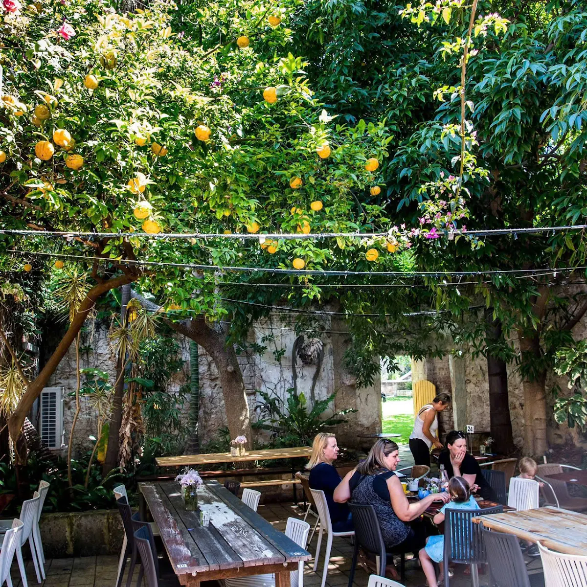 Vibe, Plated Cafe Fremantle
