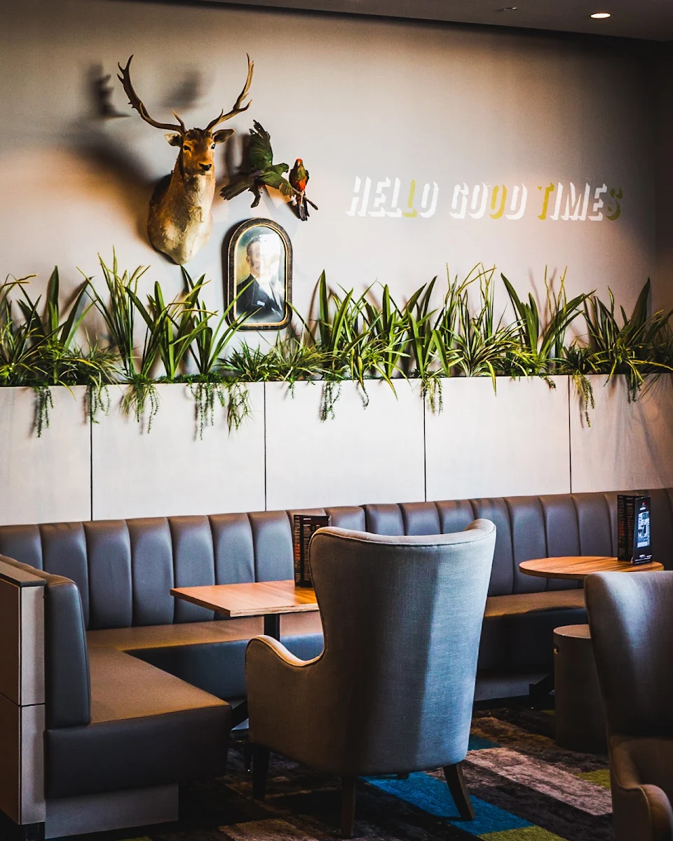 Vibe, Martini and Co | Plenty Valley