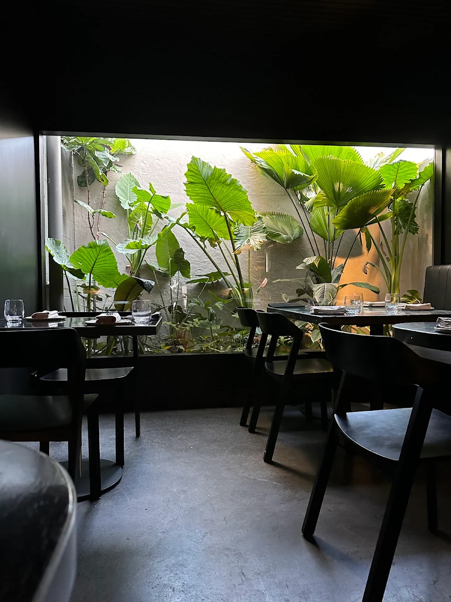 Vibe, Essa Restaurant & Wine Bar