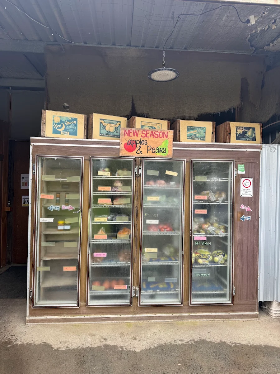 Vibe, The Pickers Pantry